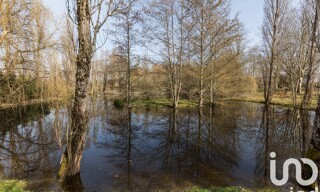Photo N° 4