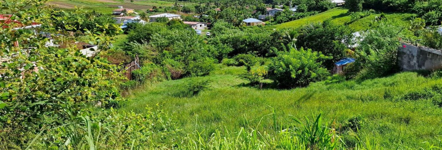 Terrain  2203 m² à vendre à Le Vauclin (97280)