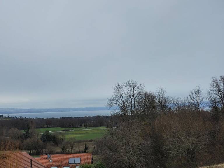Terrain À Vendre — photo 1