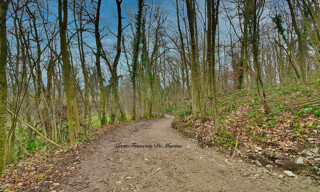Photo N° 4