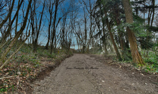 Photo N° 7
