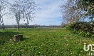 Photo N° 4