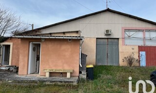 Photo N° 4
