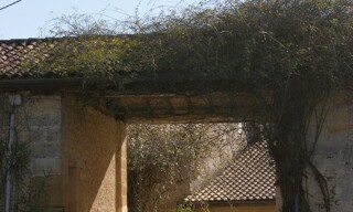 Photo N° 6