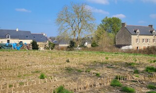 Photo N° 4