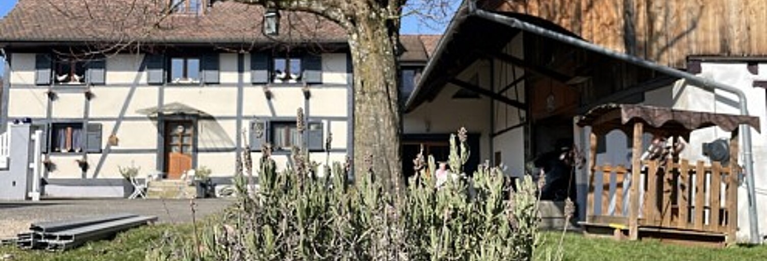 Maison 6 Pièces 320 m² à vendre à Friesen (68580)