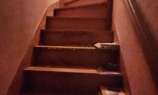 Maison 184 m² en viager Mareil-Marly (78750)