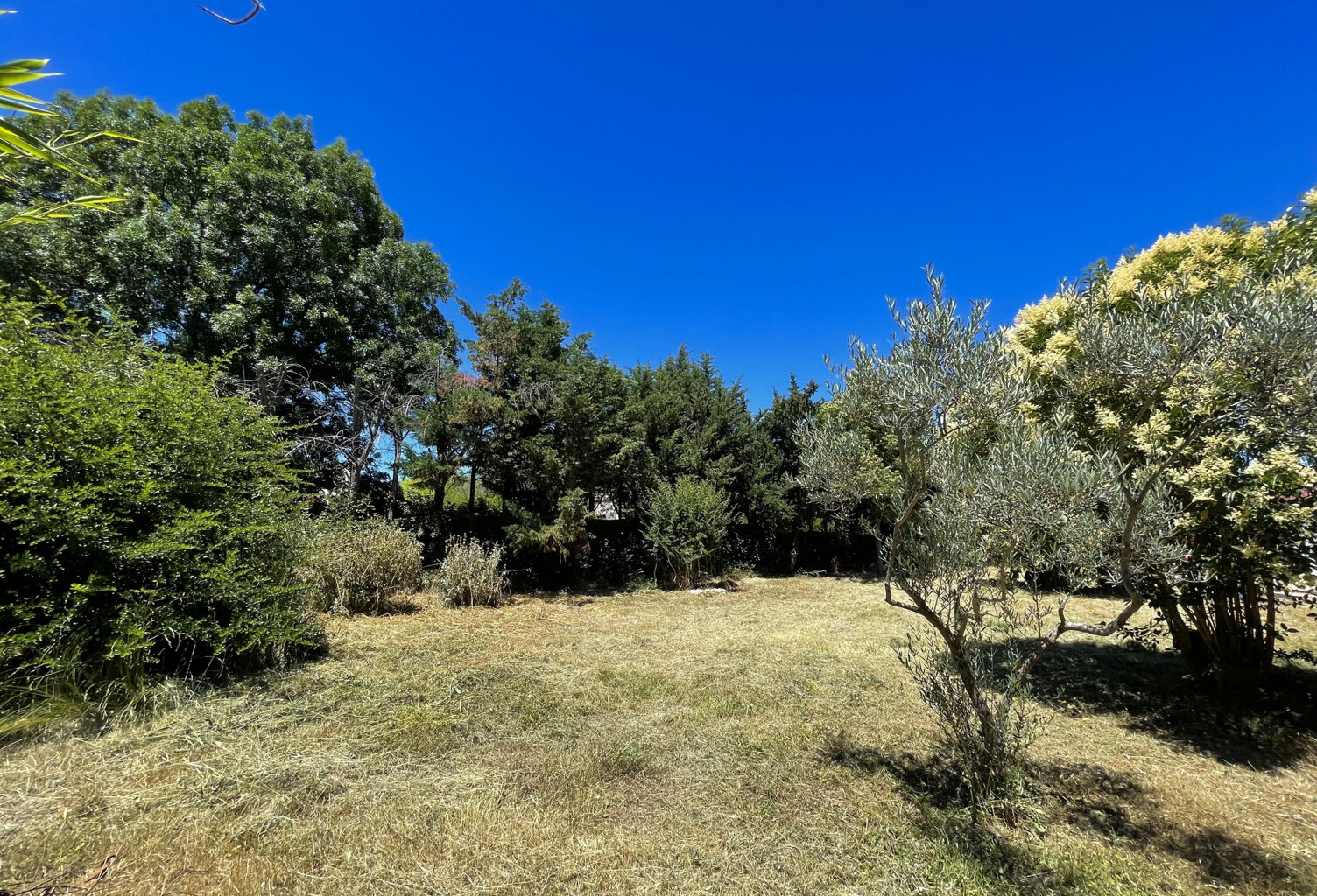 Terrain à bâtir plat viabilisé 1000m2 au calme — photo 1