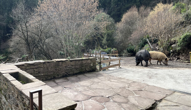 Propri&eacute;t&eacute; 5 pièces  à vendre Connac 12170