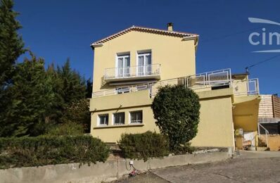 vente maison 265 000 € à proximité de Brenac (11500)