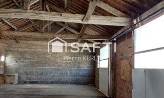 Photo N° 8
