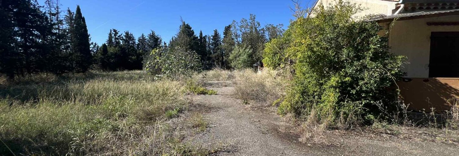 Terrain  5614 m² à vendre à Maraussan (34370)