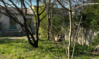 Photo N° 3
