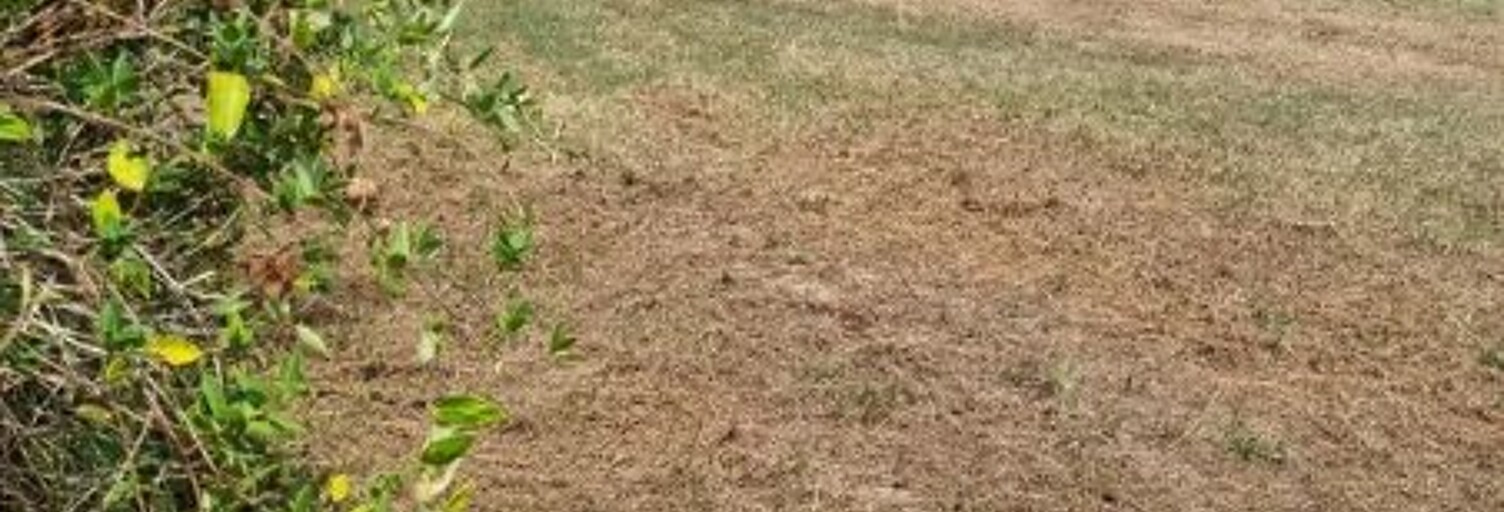 Terrain  1950 m² à vendre à Saint-Gaudens (31800)