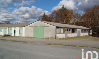 Maison 9 Pièces 1121 m² à vendre à Peyrelevade (19290)