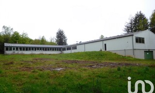 Photo N° 4