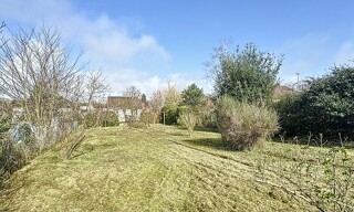 Photo N° 6