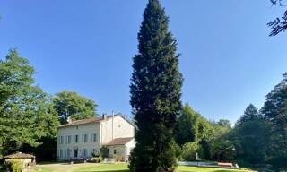 Photo N° 3