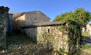 Photo N° 8