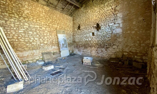 Photo N° 14