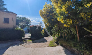 Photo N° 5