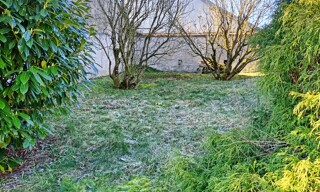 Photo N° 4