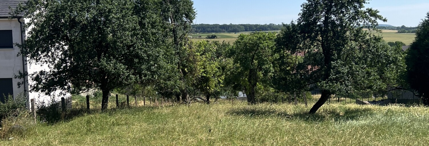 Terrain  608 m² à vendre à Filstroff (57320)