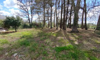 Terrain  2660 m² à vendre à Budos (33720)