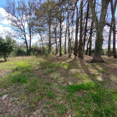 Terrain  79000 €