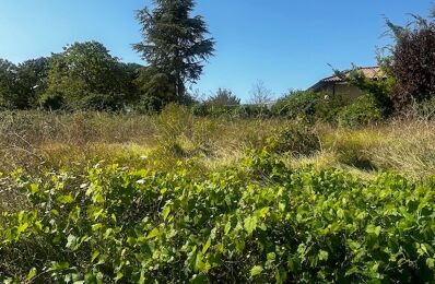 terrain  pièces 400 m2 à vendre à Vayres (33870)