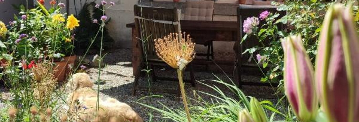 Divers 9 Pièces 248 m² à vendre à Ginoles (11500)