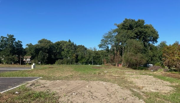 Terrain  à vendre Ondres 40440