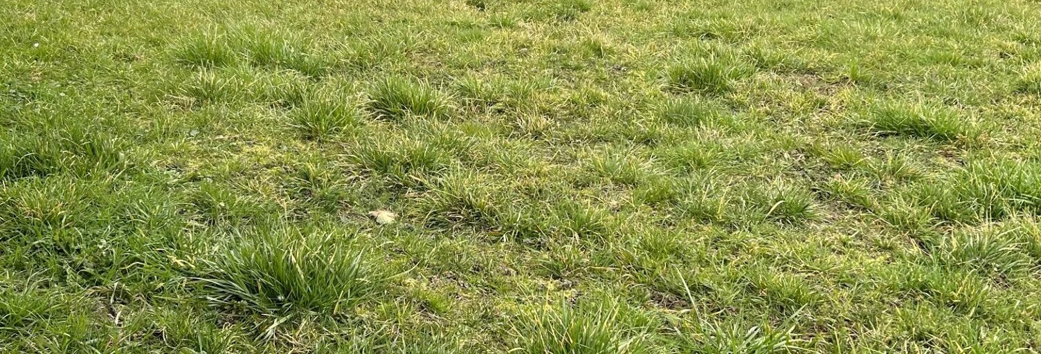 Terrain  745 m² à vendre à Fontaine-le-Comte (86240)