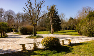 Photo N° 4