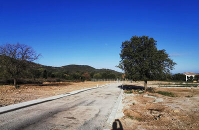 vente terrain Nous consulter à proximité de Santa-Reparata-Di-Balagna (20220)