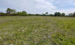 Commerce  41070 m² à vendre à Bas-Mauco (40500)