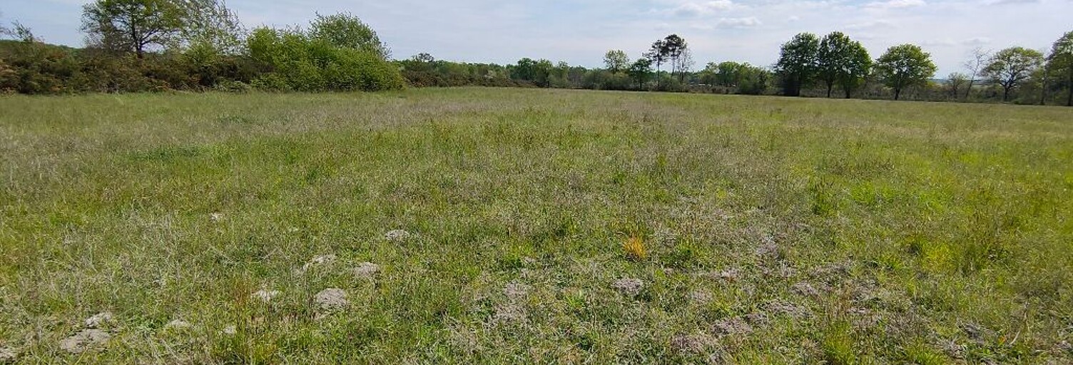 Commerce  41070 m² à vendre à Bas-Mauco (40500)