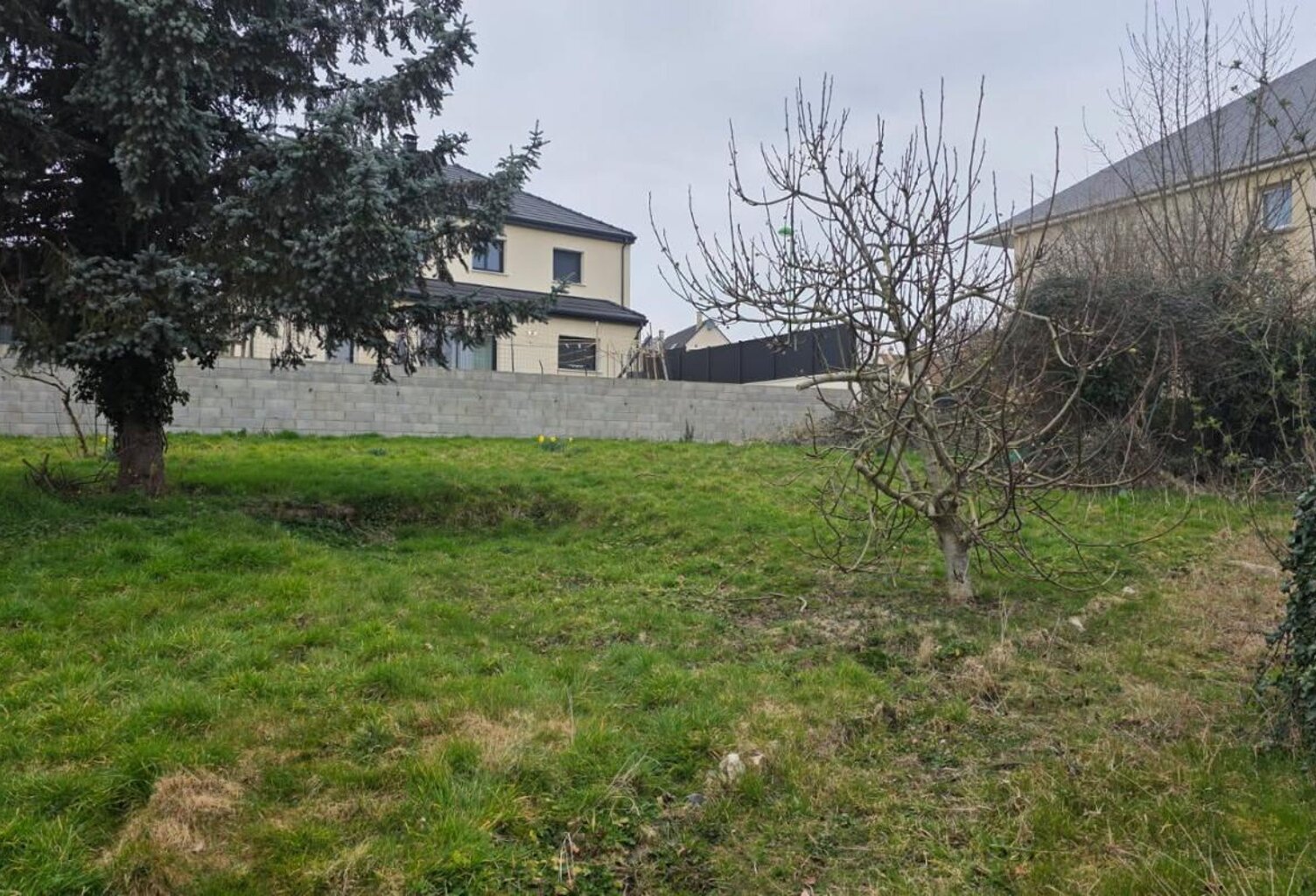 Terrain À Vendre — photo 1