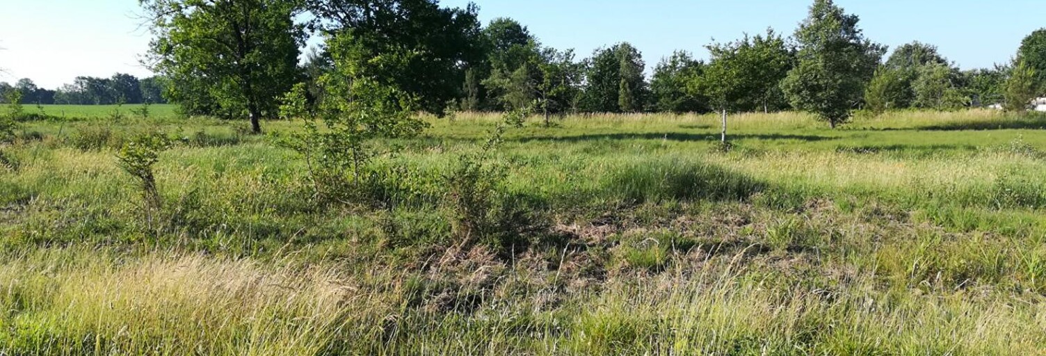 Terrain  1217 m² à vendre à Ygos-Saint-Saturnin (40110)