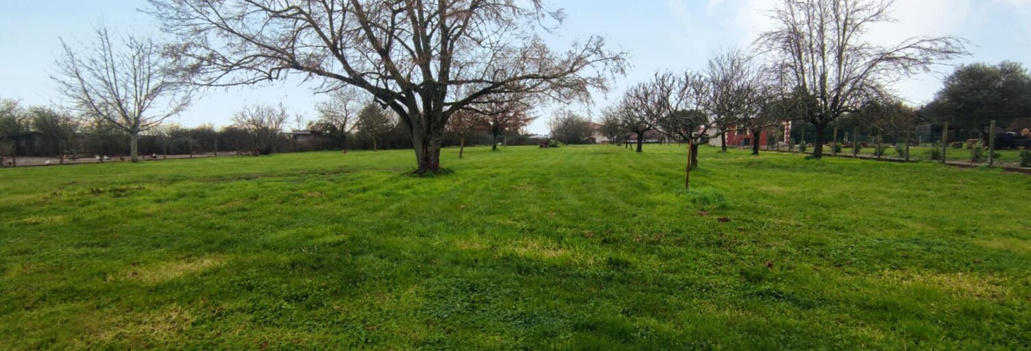 Terrain  3846 m² à vendre à Porchères (33660)