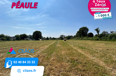 vente terrain 41 000 € à proximité de Allaire (56350)