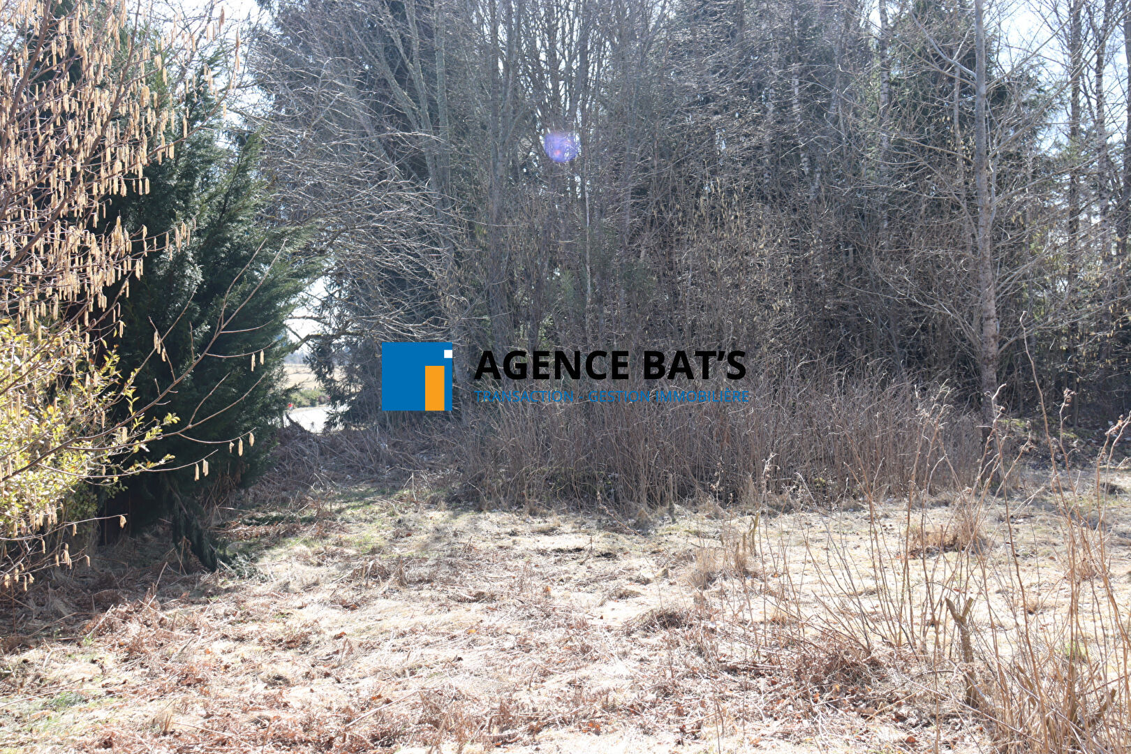 Agence immobilière de Agence Bat's