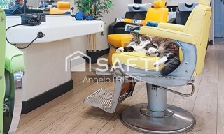 Photo N° 4