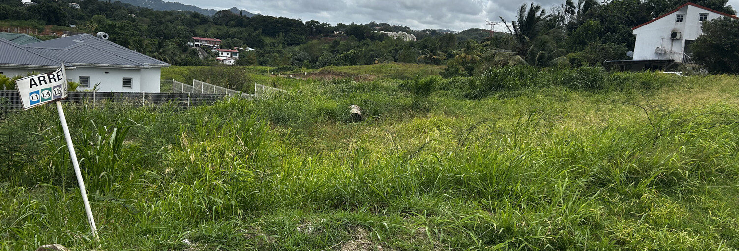 Terrain  601 m² à vendre à Ducos (97224)