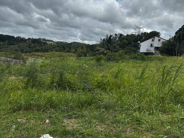 DUCOS / SYNDIC - Terrain plat constructible de 600m2 — photo du bien