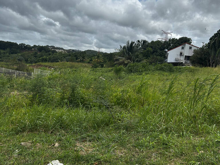 DUCOS / SYNDIC - Terrain plat constructible de 600m2 — photo 1