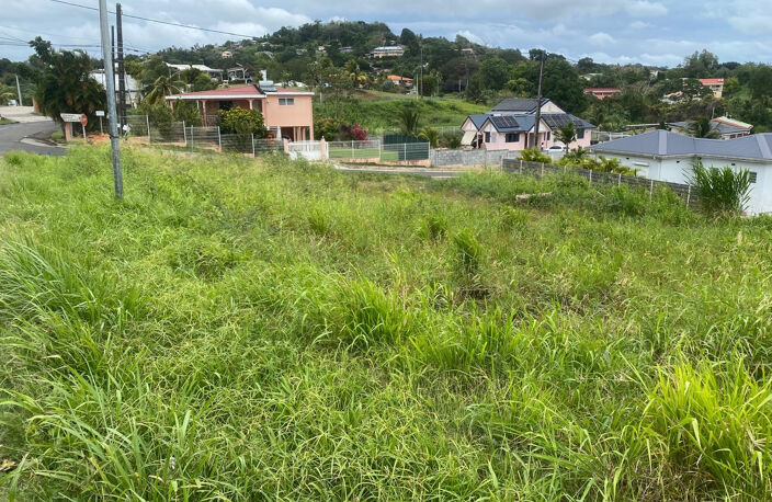 DUCOS / SYNDIC - Terrain plat constructible de 600m2 — photo 2