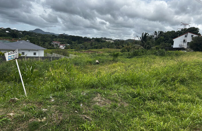 DUCOS / SYNDIC - Terrain plat constructible de 600m2 — photo 3