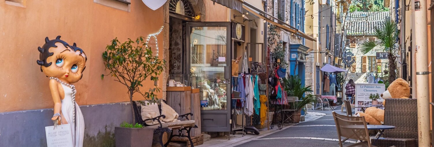 Commerce 1 Pièce 34 m² à vendre à Valbonne (06560)