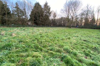 Terrain  56000 €